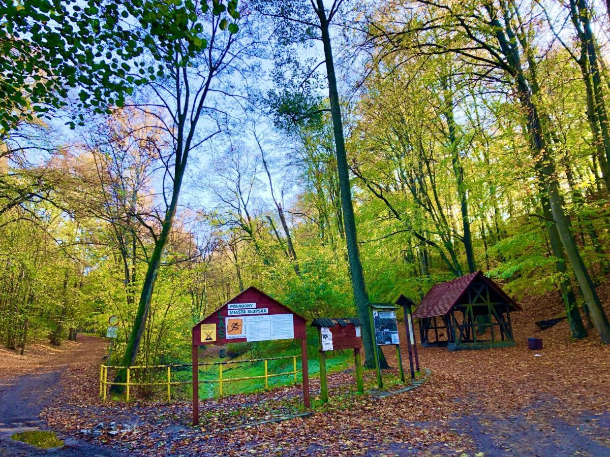 Las Slupski Premium Panoramic Apartament Nr8 Wifi Netflix Smart Tv55 Full Kitchen Double Bathtub Up To 4 People Full Pleasure Quality Stay (Adults Only) Esterno foto